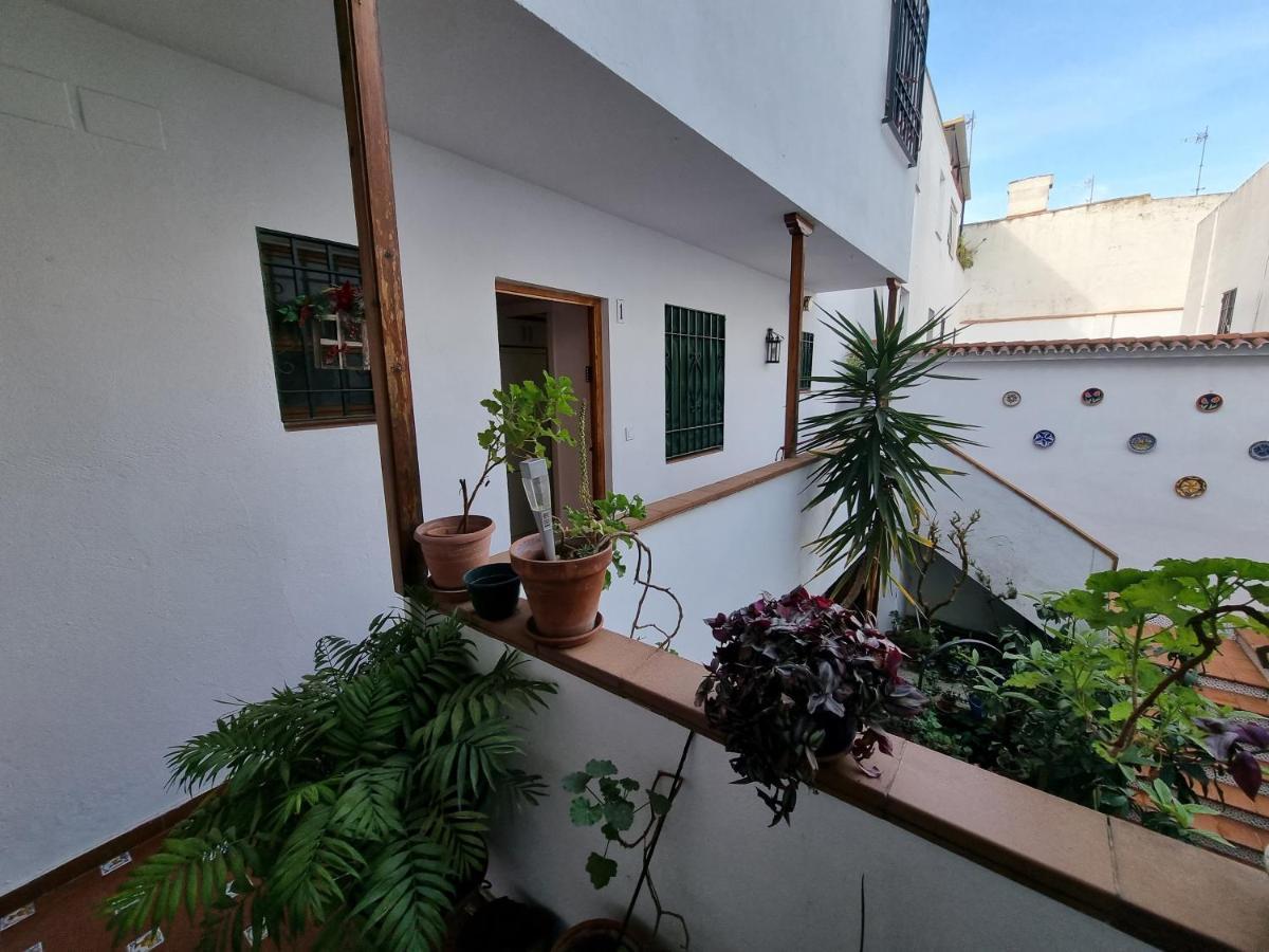 Apartamentos En Patio Cordobes San Basilio 科爾多瓦 外观 照片