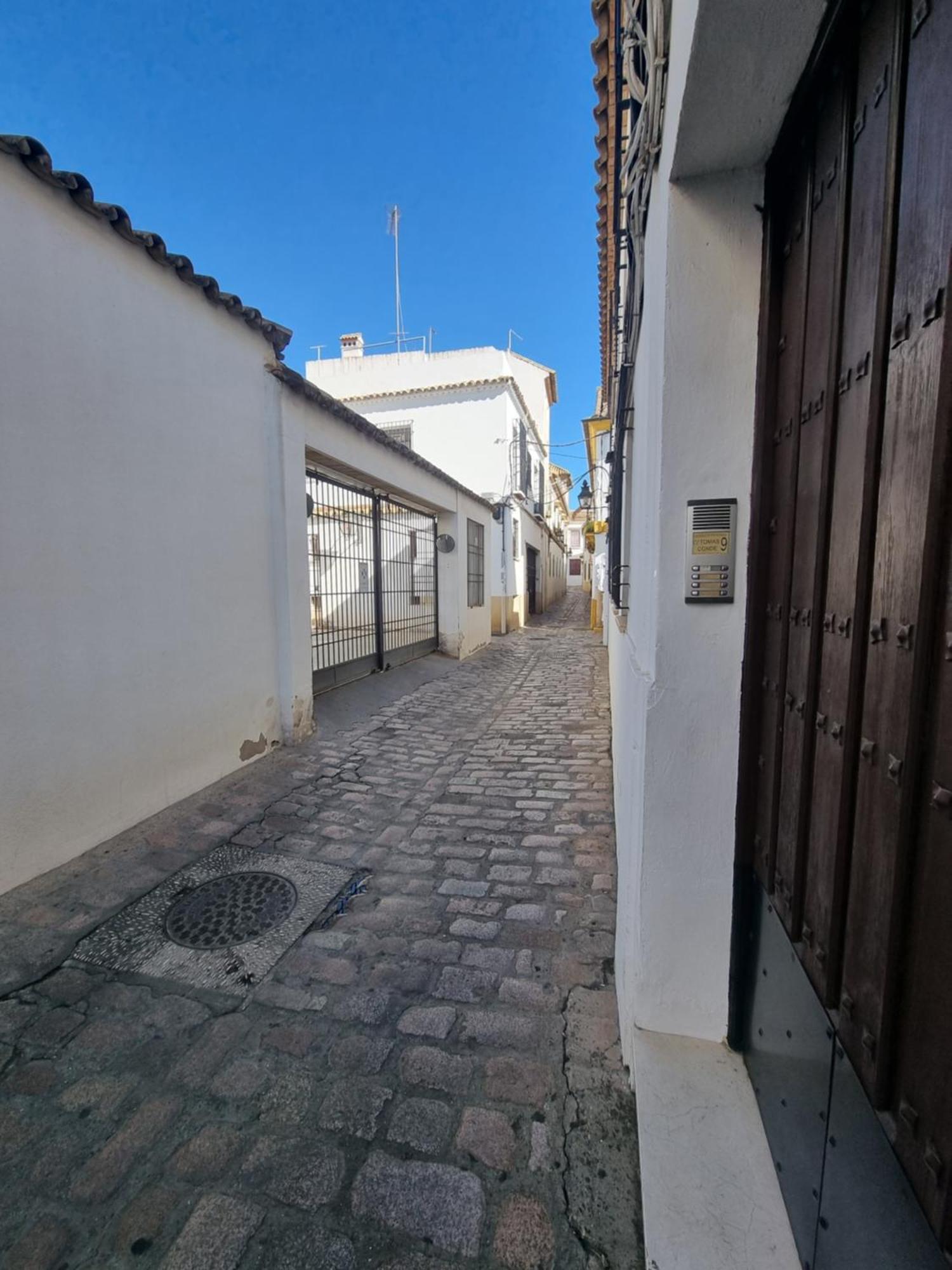 Apartamentos En Patio Cordobes San Basilio 科爾多瓦 外观 照片